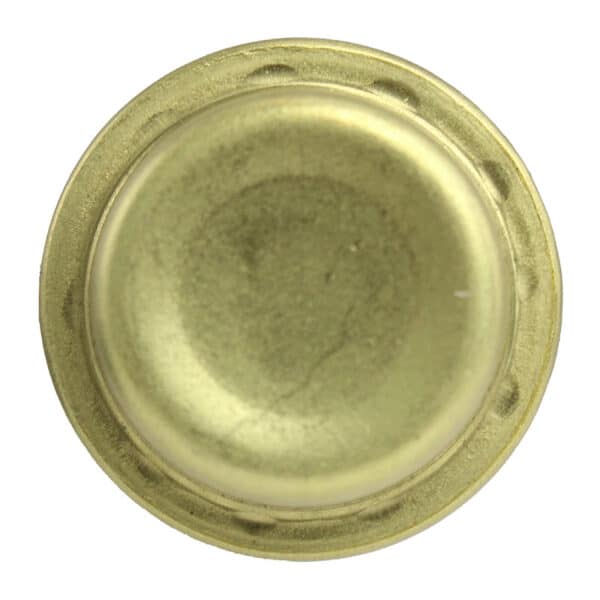 WS2577 - Imagen 3