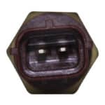 WS3093 - Imagen 2