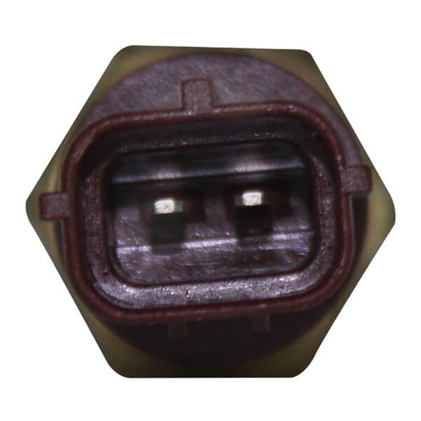 WS3093 - Imagen 2