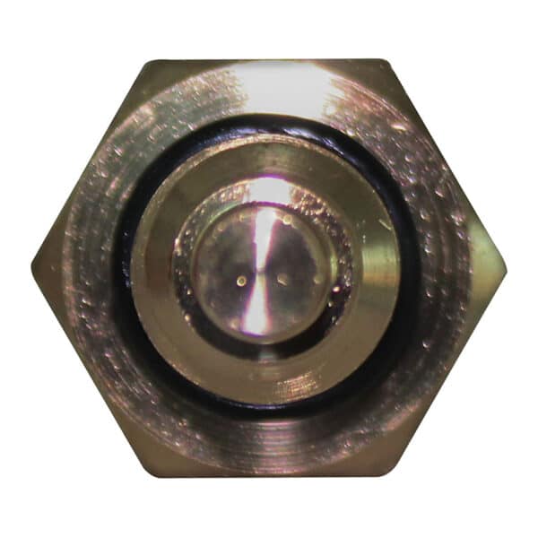 WS3093 - Imagen 3