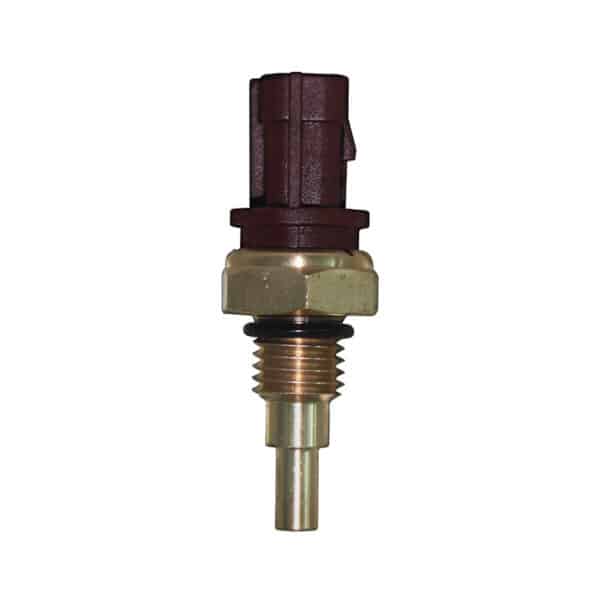 WS3093 - Imagen 6