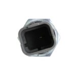 OS3566 - Imagen 2
