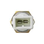 RS5500 - Imagen 3