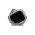 RS5565 - Imagen 2