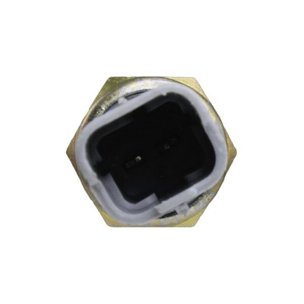 RS5565 - Imagen 2