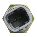 RS5577 - Imagen 2