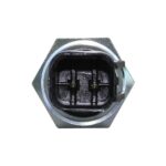 RS5613 - Imagen 2