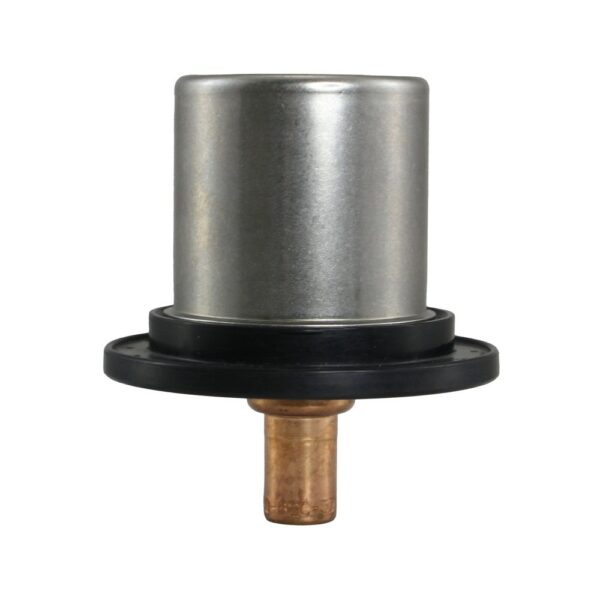 THS1743.82 - Imagen 4