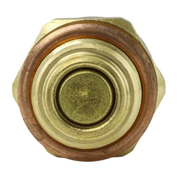 TS1556 - Imagen 3