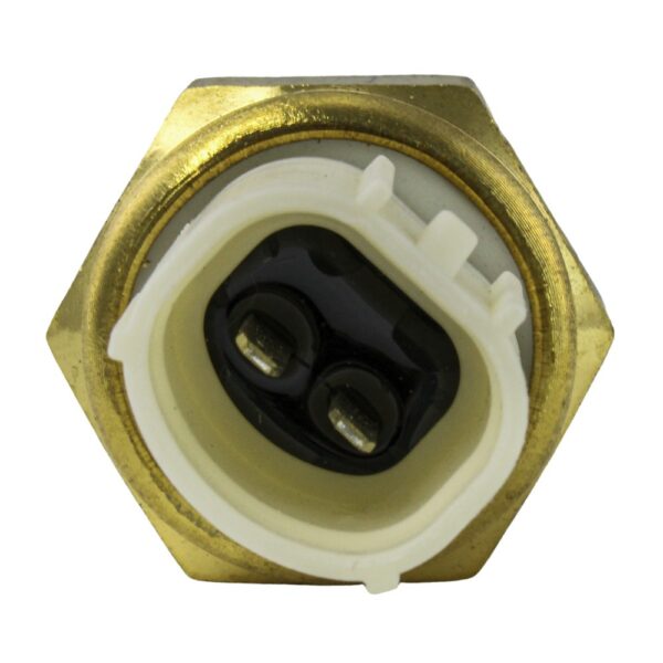 TS2442 - Imagen 2