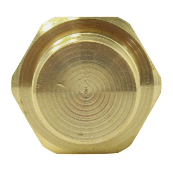 TS2648 - Imagen 6