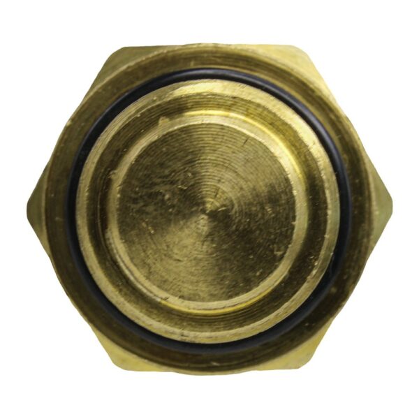 TS2870 - Imagen 3