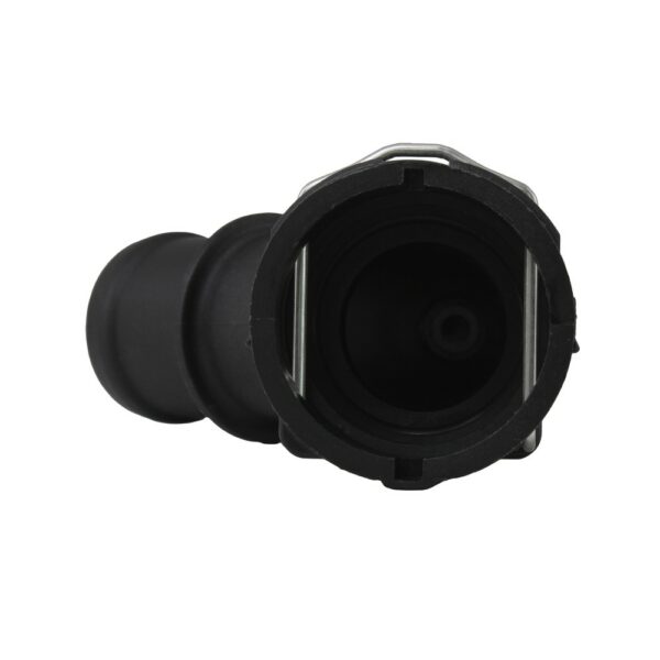 WF0152 - Imagen 3