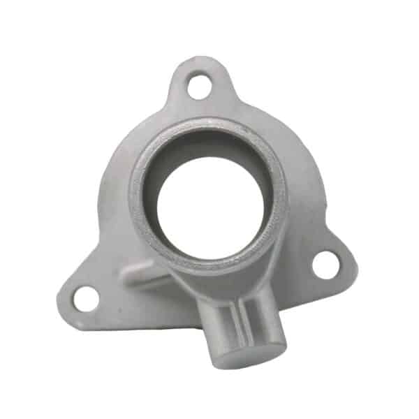 WF0216 - Imagen 2