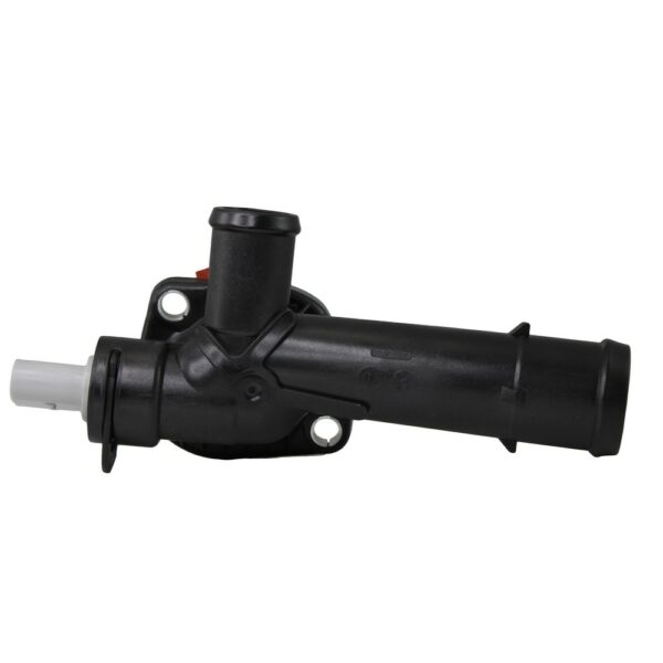 WF0249 - Imagen 2