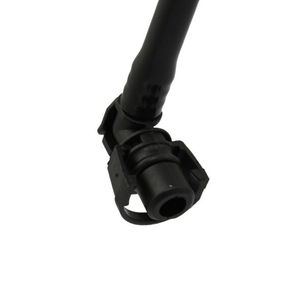 WF0281 - Imagen 2