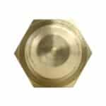 WS2508 - Imagen 6