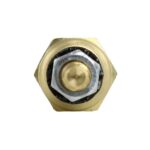 WS2517 - Imagen 6