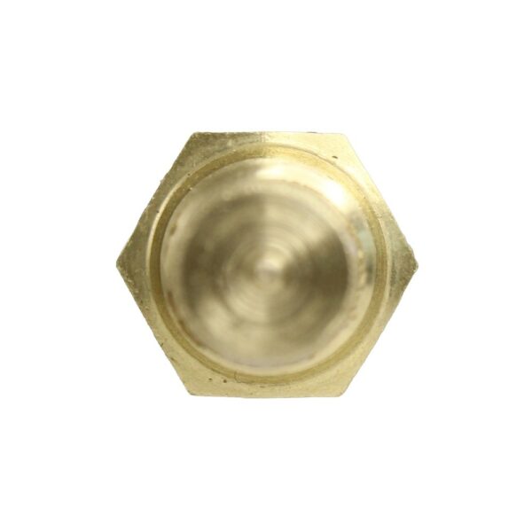 WS2517 - Imagen 7