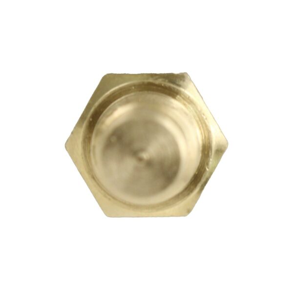 WS2537 - Imagen 6