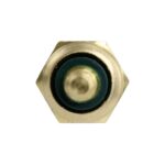 WS2545 - Imagen 7