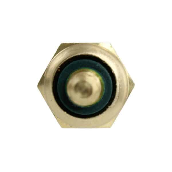 WS2545 - Imagen 7