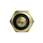 WS2549 - Imagen 7