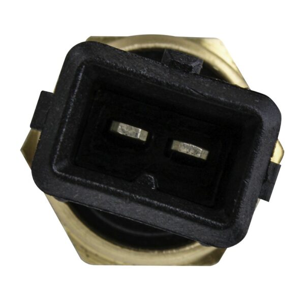 WS2575 - Imagen 2
