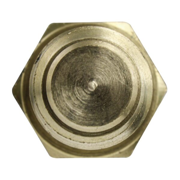 WS2575 - Imagen 3