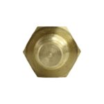 WS2582 - Imagen 6