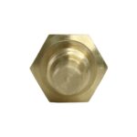 WS2583 - Imagen 7