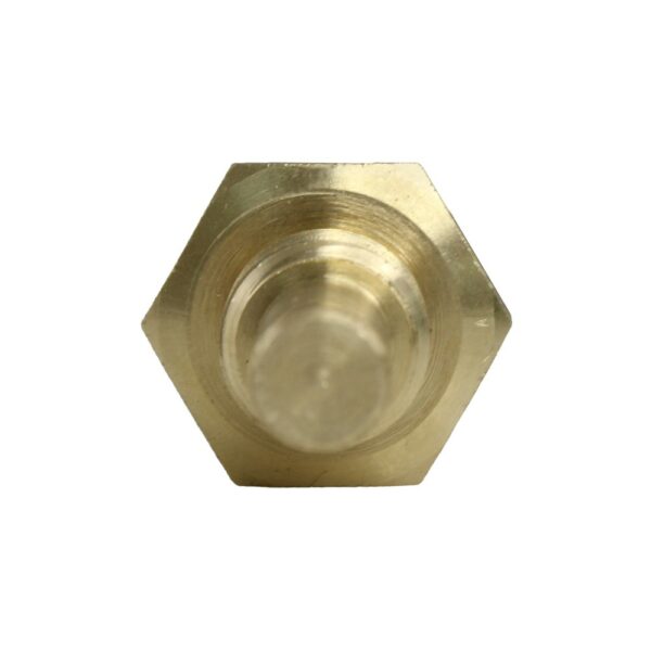 WS2583 - Imagen 7