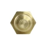 WS2585 - Imagen 7