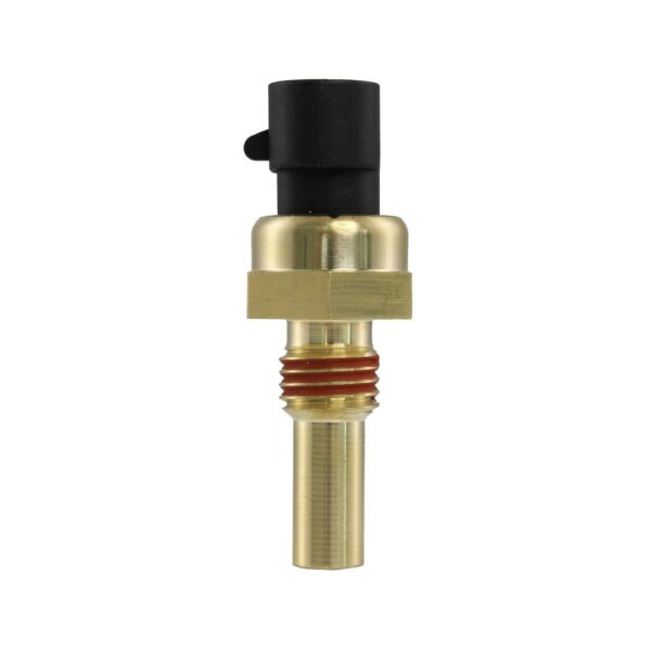 WS2586 - Imagen 3