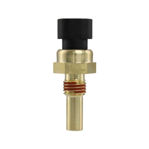 WS2586 - Imagen 4