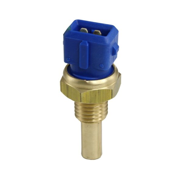 WS2587 - Imagen 1