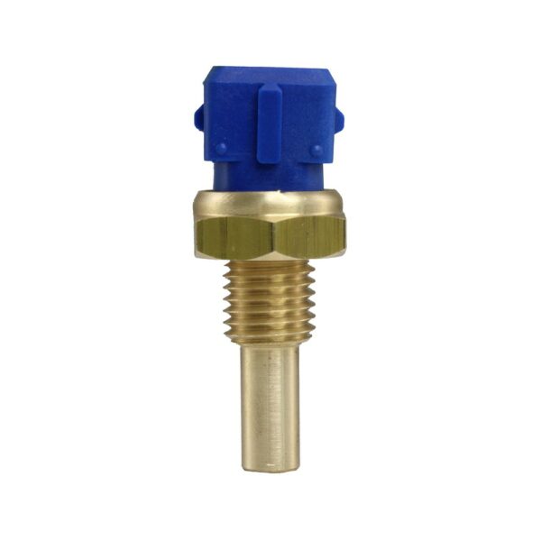 WS2587 - Imagen 2