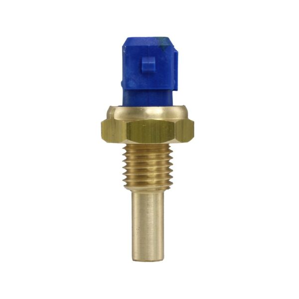 WS2587 - Imagen 3