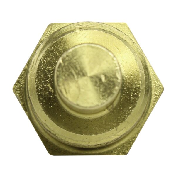 WS2588 - Imagen 3