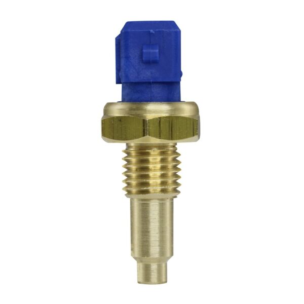 WS2589 - Imagen 5