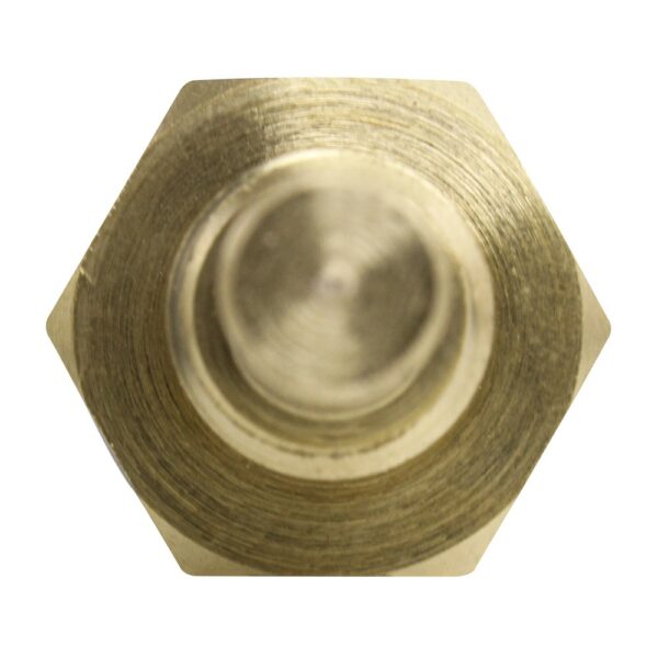 WS2593 - Imagen 3