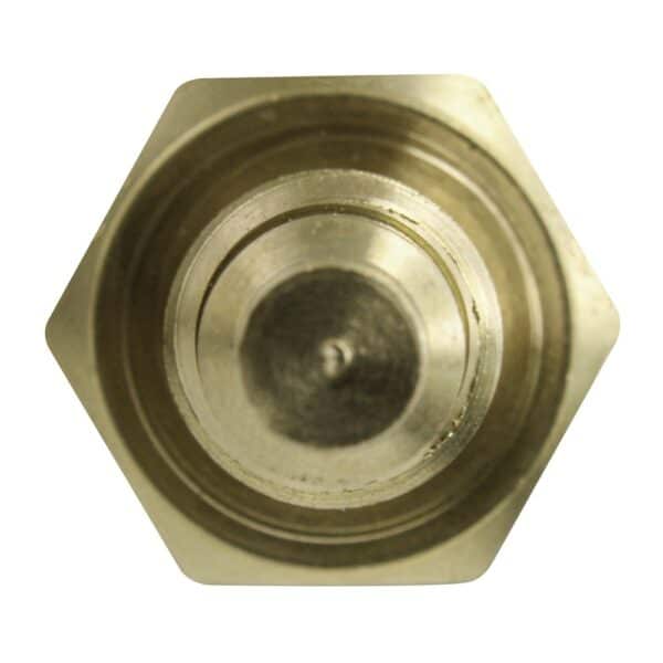 WS2594 - Imagen 3