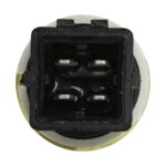 WS2595 - Imagen 2