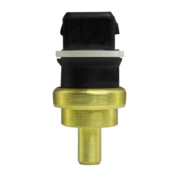 WS2595 - Imagen 5