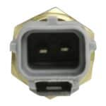 WS2596 - Imagen 2