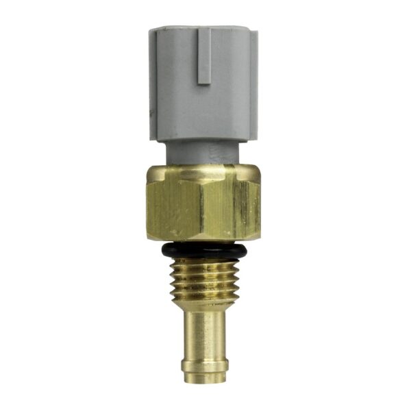 WS2596 - Imagen 4