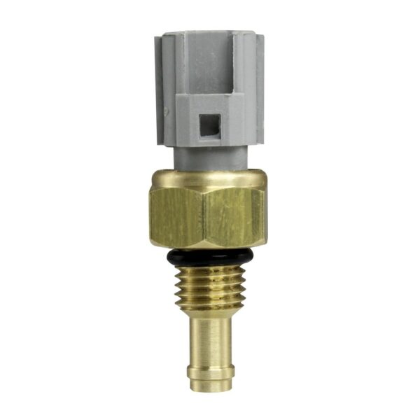 WS2596 - Imagen 5
