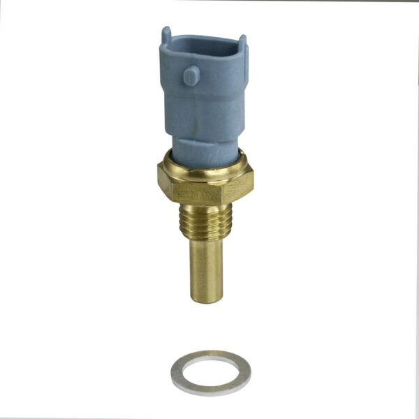 WS2598 - Imagen 1