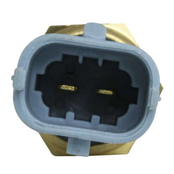 WS2598 - Imagen 2