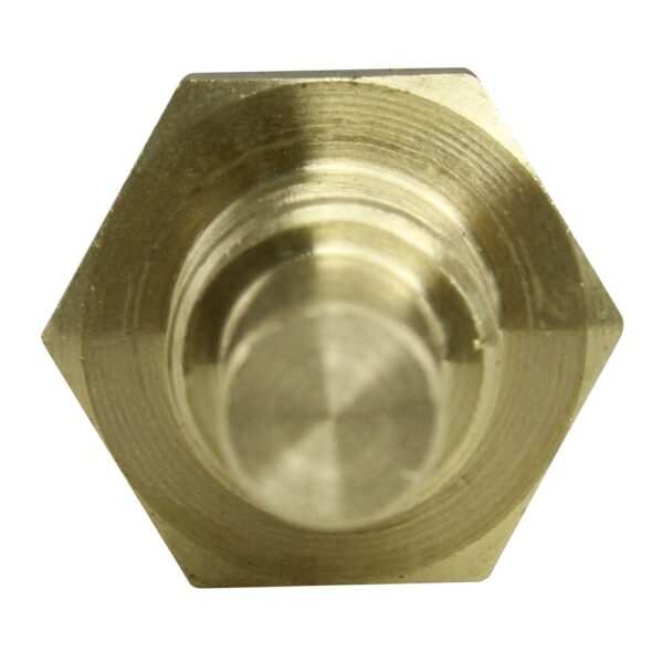 WS2598 - Imagen 3
